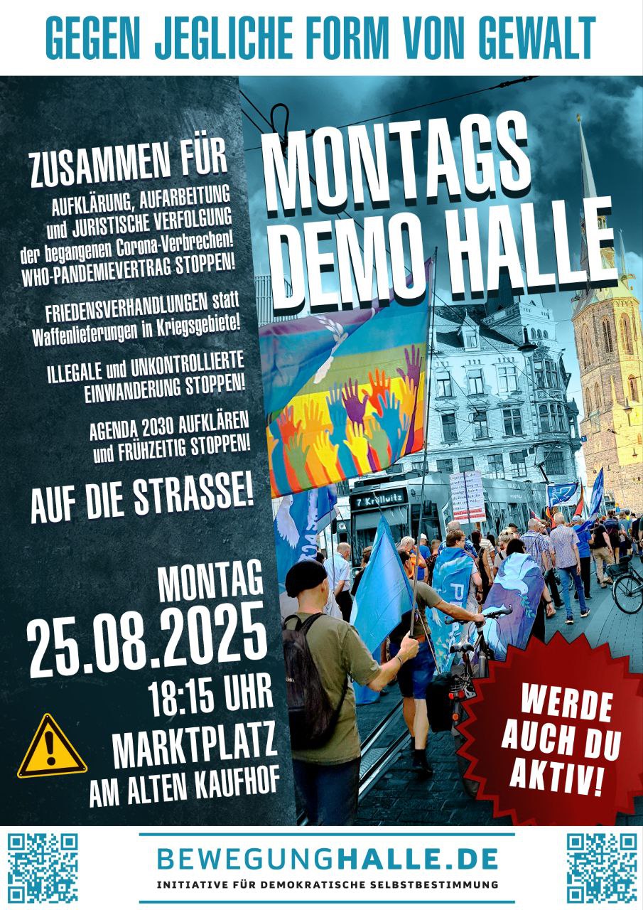 photo 2024 12 05 15 58 38